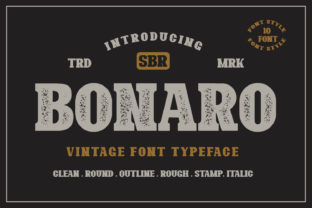 Bonaro Family: A Vintage Display Font for Editorial Design