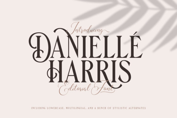Danielle Harris Font: Elegant Branding for Small Business
