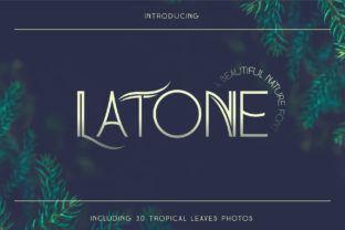 Latone Font: Elevating Editorial Design with Sophisticated Charm