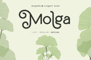 Molga Font Review: Modern Display Typography for Campaigns
